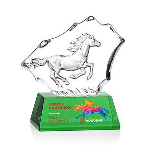 Ottavia Horse VividPrint™ Award