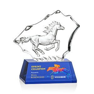 Ottavia Horse VividPrint™ Award