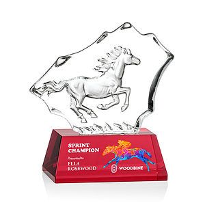 Ottavia Horse VividPrint™ Award