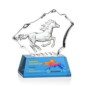 Ottavia Horse VividPrint™ Award