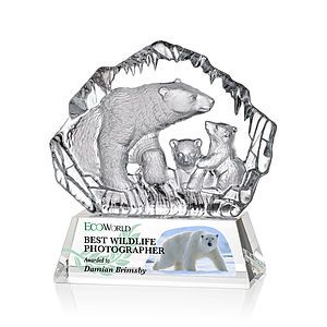 Ottavia Polar Bears VividPrint™ Award