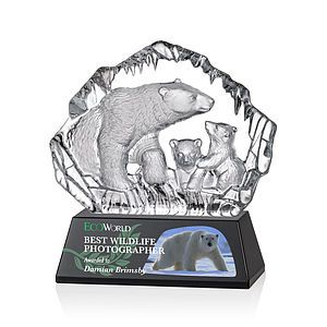 Ottavia Polar Bears VividPrint™ Award