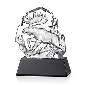 Ottavia Moose VividPrint™ Award