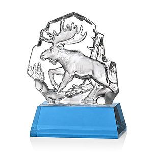 Ottavia Moose VividPrint™ Award