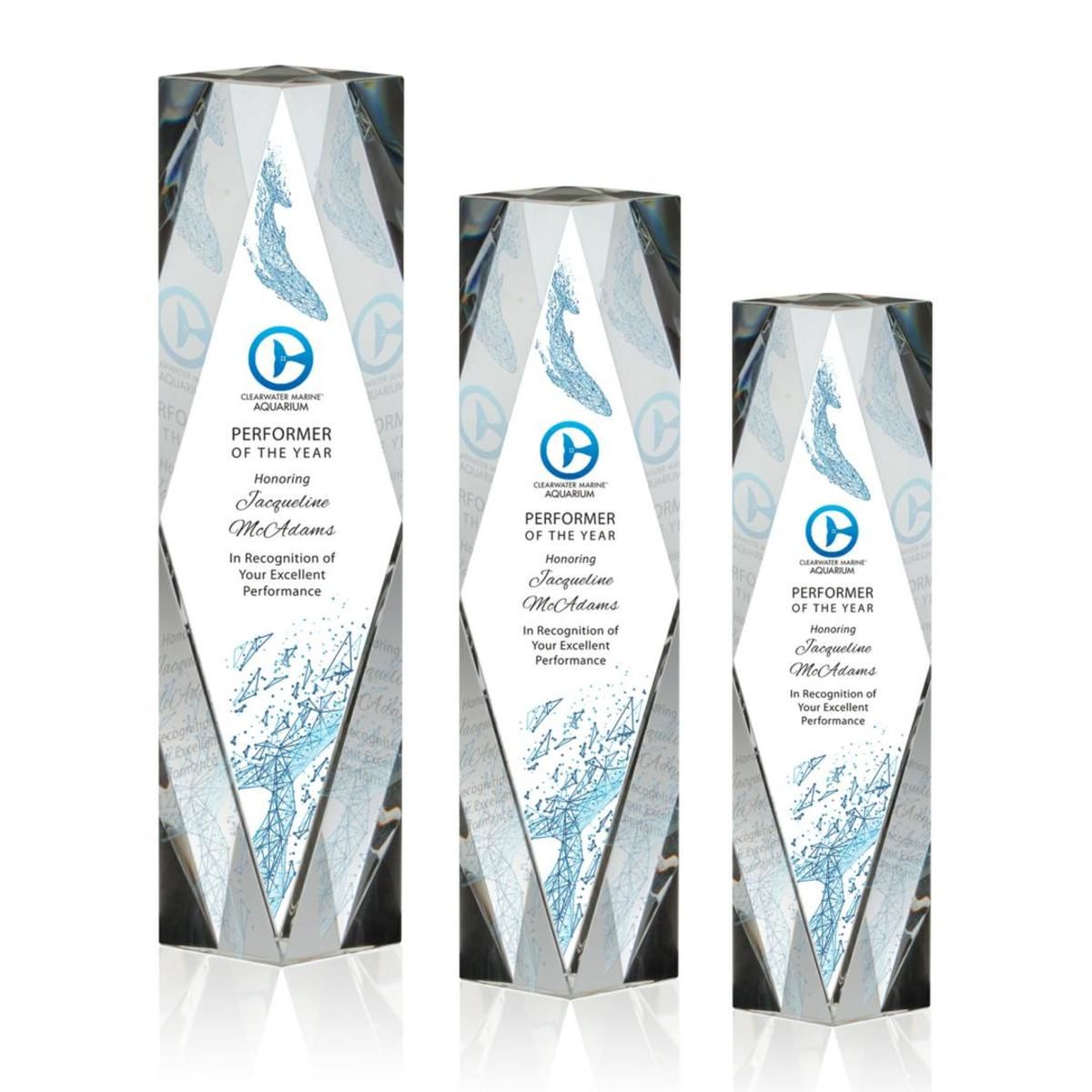 President VividPrint™ Award