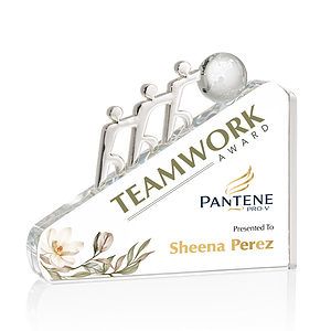 Synergy VividPrint™ Award