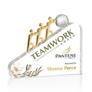 Synergy VividPrint™ Award