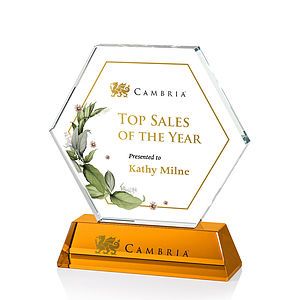Ralston VividPrint™ Award - Amber