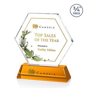 Ralston VividPrint™ Award - Amber