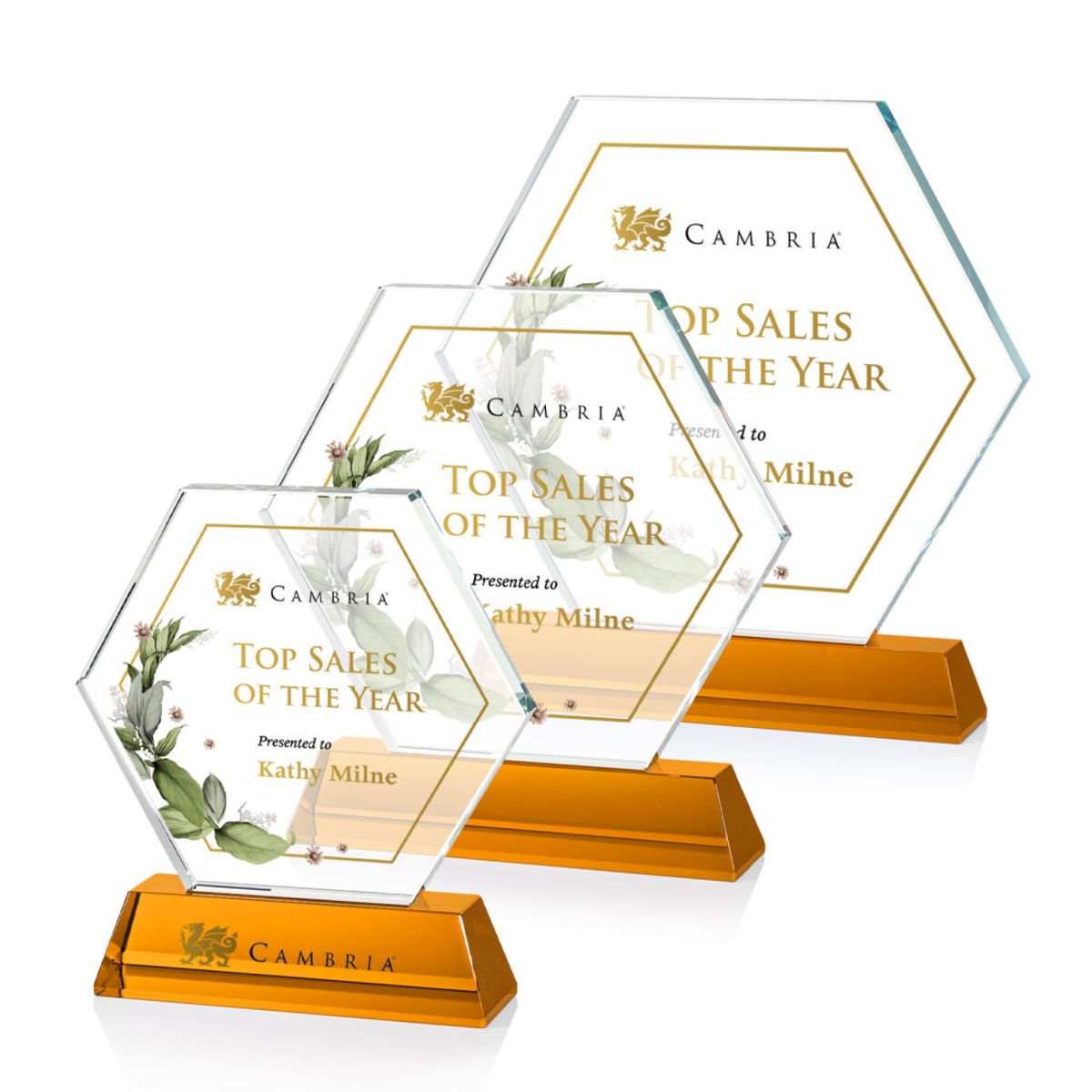 Ralston VividPrint™ Award - Amber