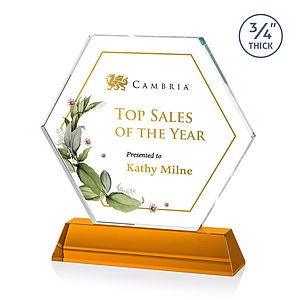 Ralston VividPrint™ Award - Amber