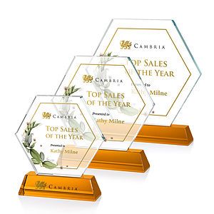 Ralston VividPrint™ Award - Amber