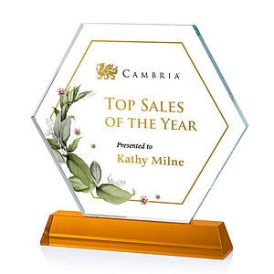 Ralston VividPrint™ Award - Amber