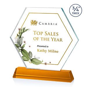 Ralston VividPrint™ Award - Amber