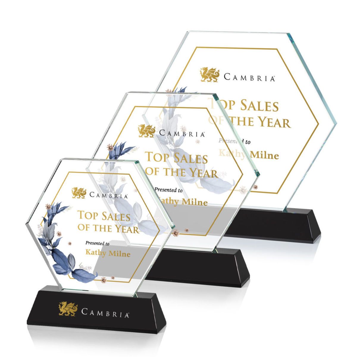 Ralston VividPrint™ Award - Black