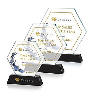 Ralston VividPrint™ Award - Black