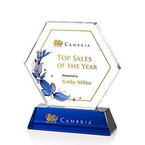  Ralston VividPrint™ Award - Blue