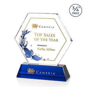  Ralston VividPrint™ Award - Blue