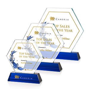  Ralston VividPrint™ Award - Blue