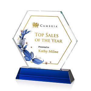  Ralston VividPrint™ Award - Blue