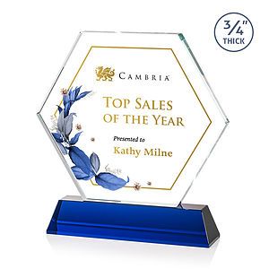  Ralston VividPrint™ Award - Blue