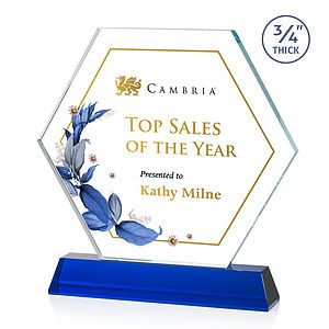  Ralston VividPrint™ Award - Blue