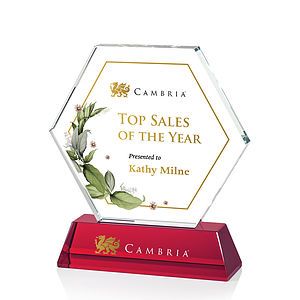 Ralston VividPrint™ Award - Red