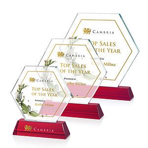 Ralston VividPrint™ Award - Red