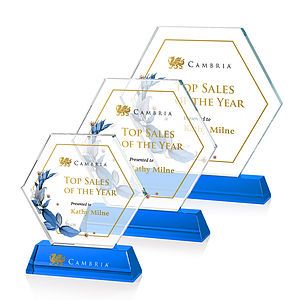 Ralston VividPrint™ Award - Sky Blue