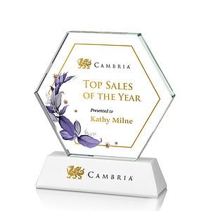 Ralston VividPrint™ Award - White