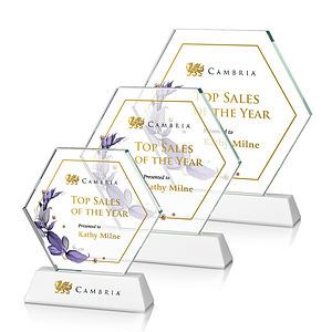 Ralston VividPrint™ Award - White