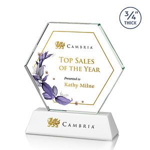 Ralston VividPrint™ Award - White
