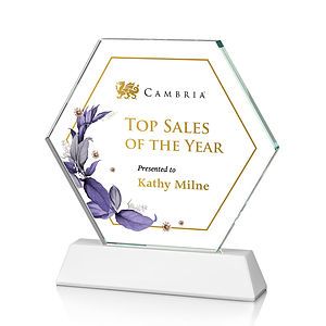 Ralston VividPrint™ Award - White