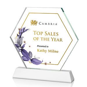 Ralston VividPrint™ Award - White