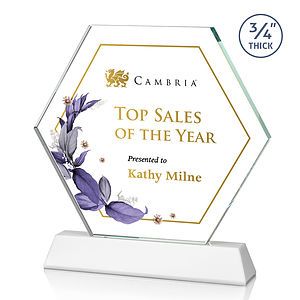 Ralston VividPrint™ Award - White
