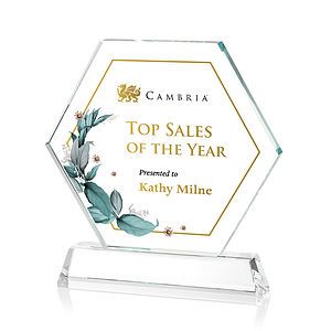 Ralston VividPrint™ Award - Clear