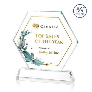 Ralston VividPrint™ Award - Clear