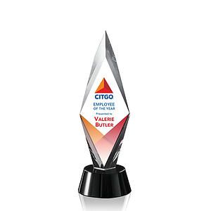 Manilow VividPrint™ Award