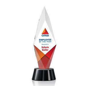 Manilow VividPrint™ Award