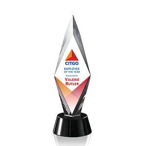 Manilow VividPrint™ Award