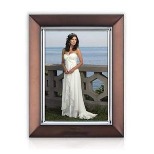 Albrighton Picture Frame - Bronze/Silver