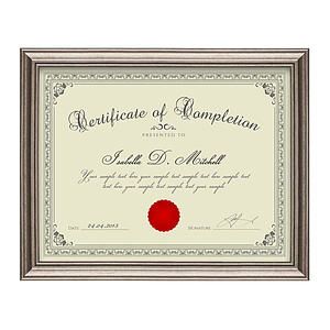 Ellison Certificate Frame - Gun Metal