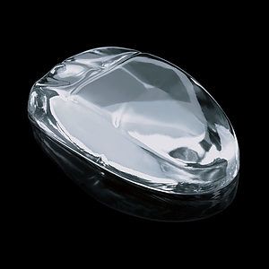 Mouse Paperweight