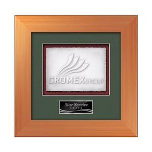 Premier -  Bronze