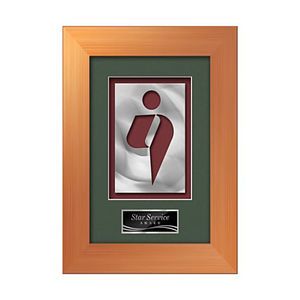 Premier Aquashape Award - Bronze