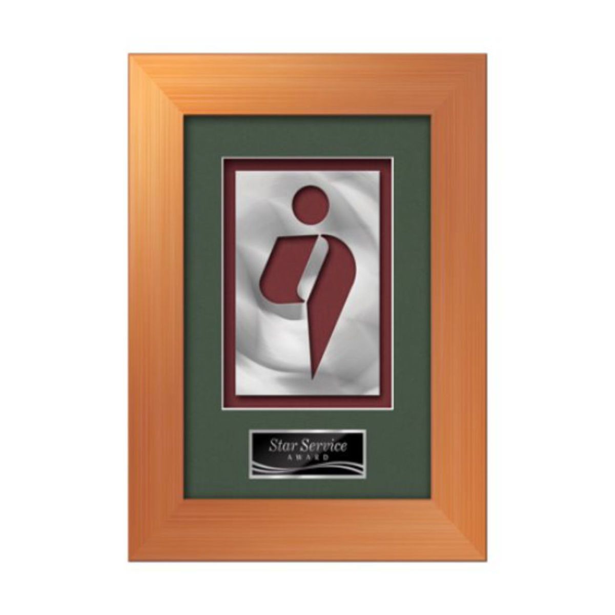 Premier Aquashape Award - Bronze