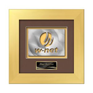 Premier Aquashape Award - Gold