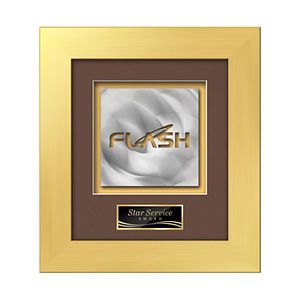 Premier Aquashape Award - Gold