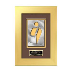 Premier Aquashape Award - Gold