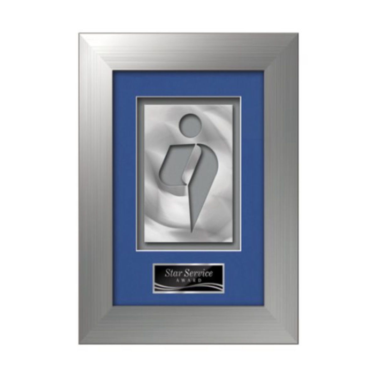 Premier Aquashape Award - Silver